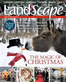 December 2019 
                issue December 2019
