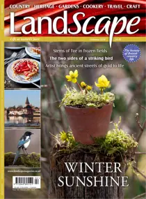 LandScape 
                issue Feb-26