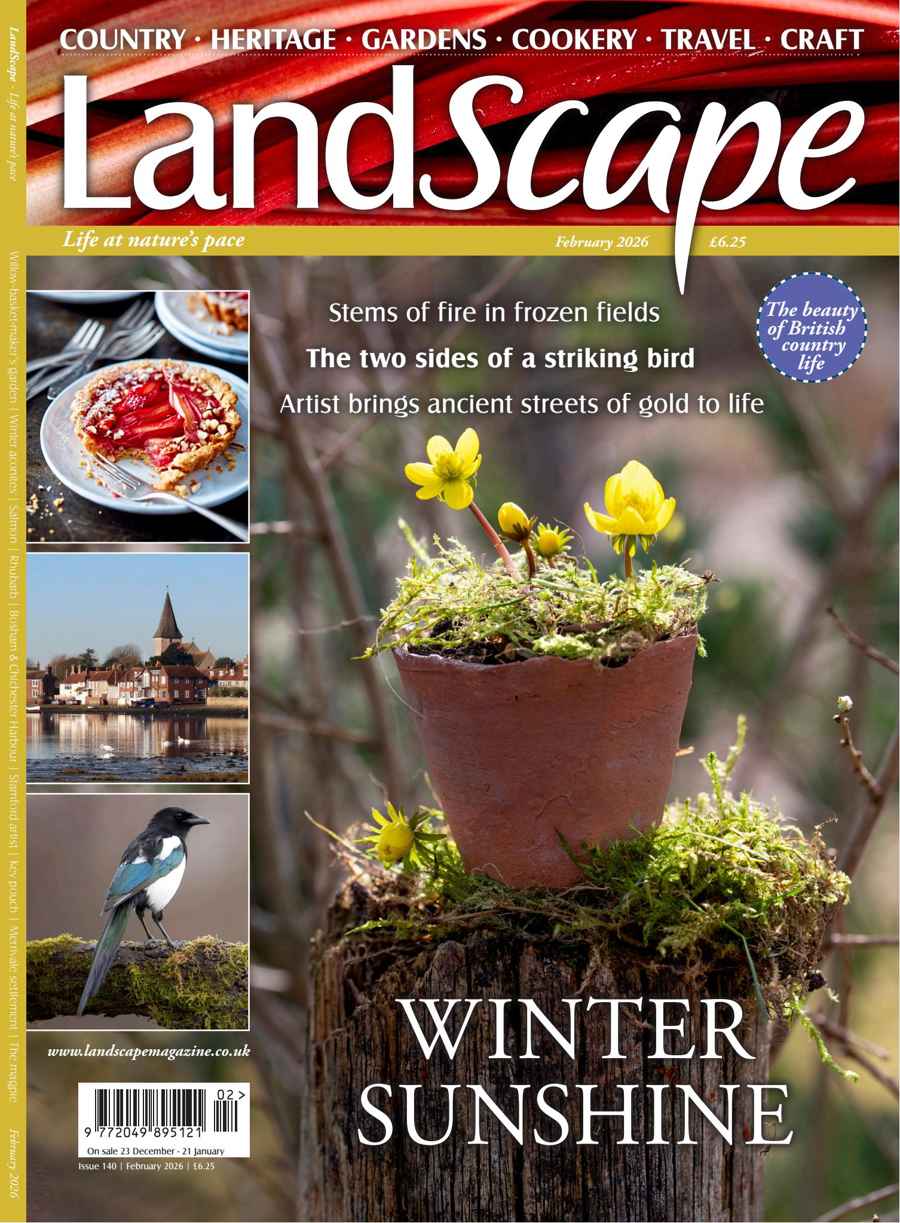 LandScape issue Feb-26