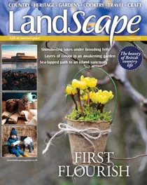 February 2020 
                issue February 2020