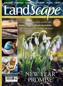 LandScape issue Jan-26