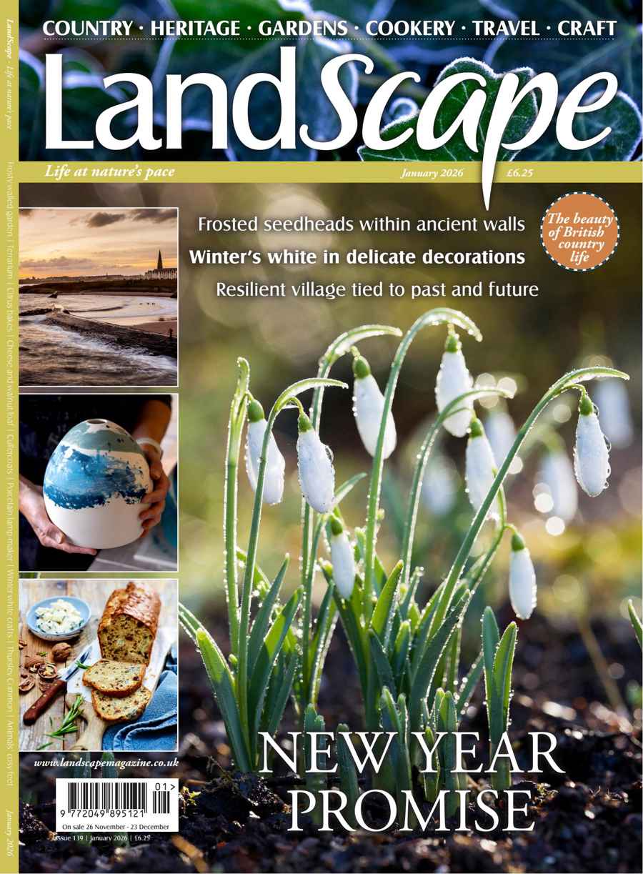 LandScape issue Jan-26