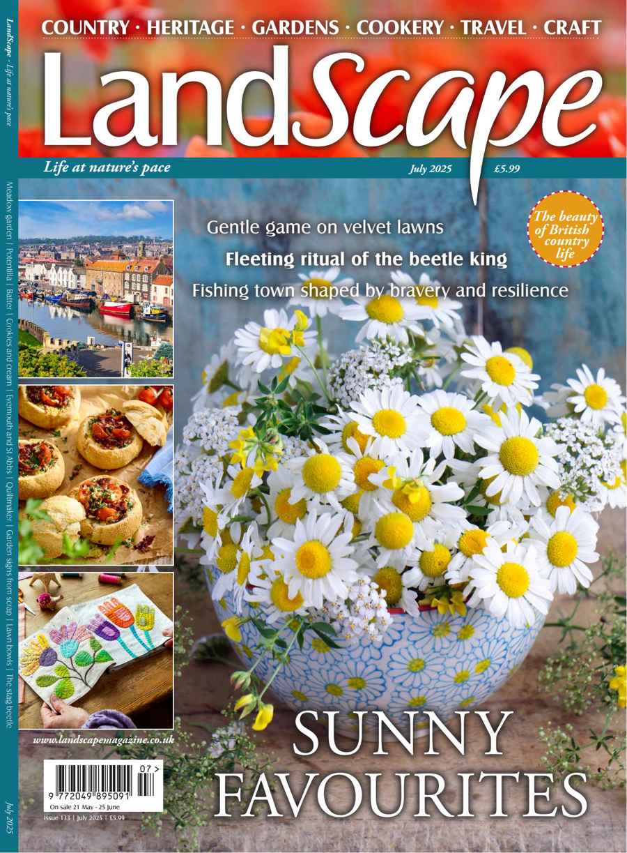 LANDSCAPE