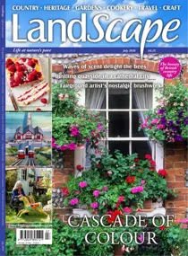 LandScape issue Jul-26