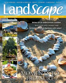 July 2018 
                issue July 2018