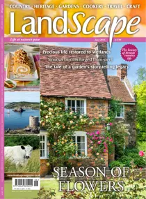 Jun-25 
                issue Jun-25