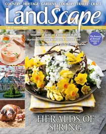 Mar-22 
                issue Mar-22