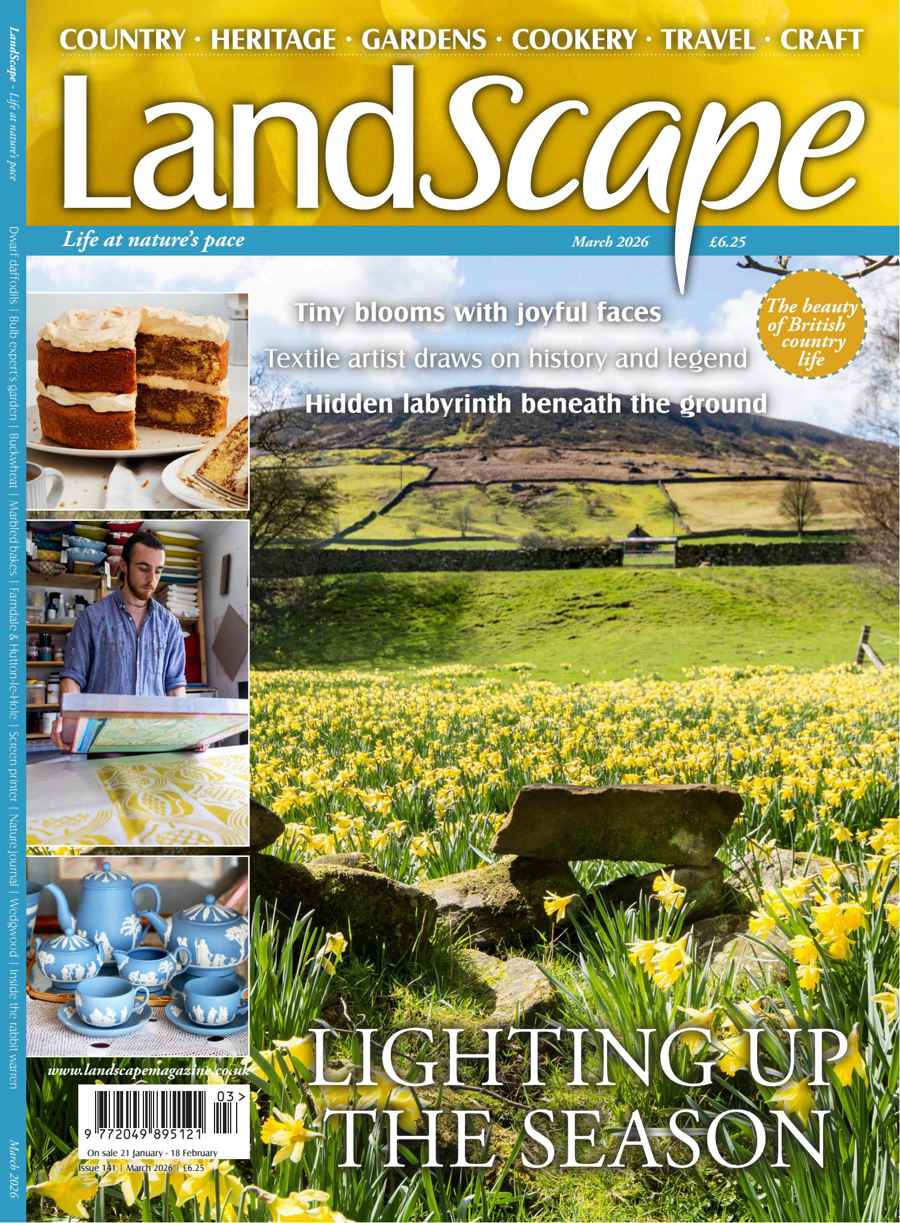 LandScape issue Mar-26