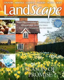 March 2021 
                issue March 2021