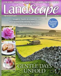 May 2019 
                issue May 2019