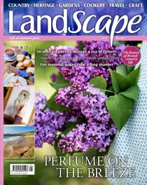 May-23 
                issue May-23