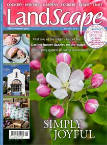 May-25 
                issue May-25