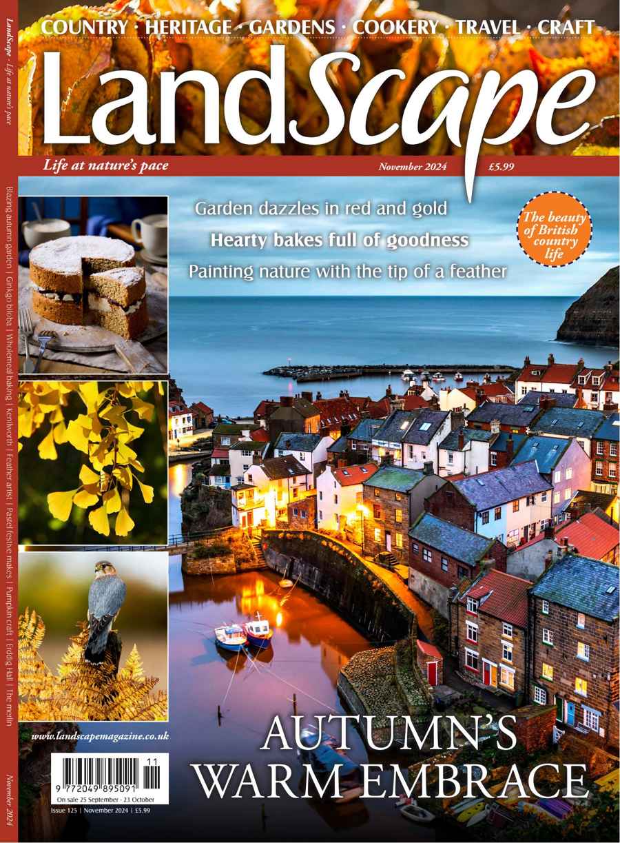 LandScape issue Nov-24