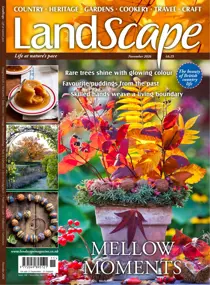 LandScape 
                issue Nov-26