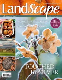 Nov/Dec 2016 
                issue Nov/Dec 2016