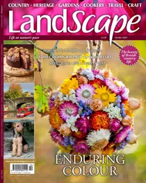 LandScape Oct-23