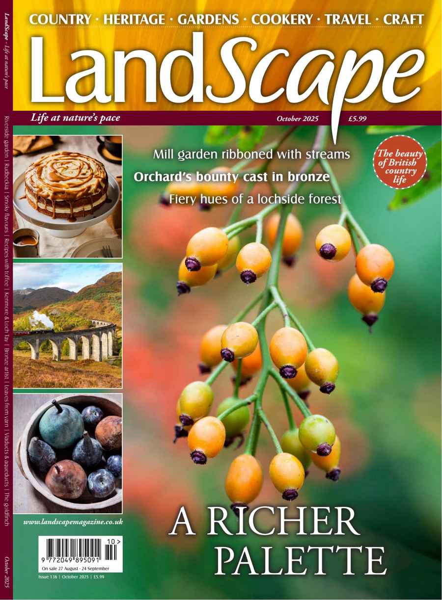 LandScape issue Oct-25
