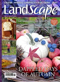LandScape issue Oct-26