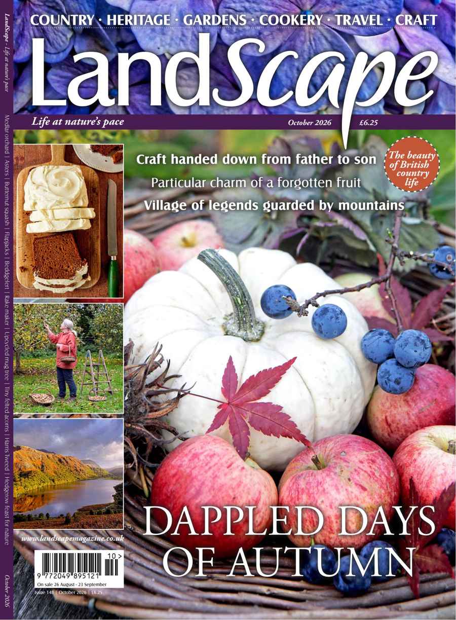 LandScape issue Oct-26