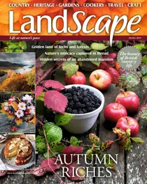October 2019 
                issue October 2019