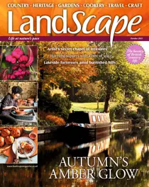 October 2021 
                issue October 2021