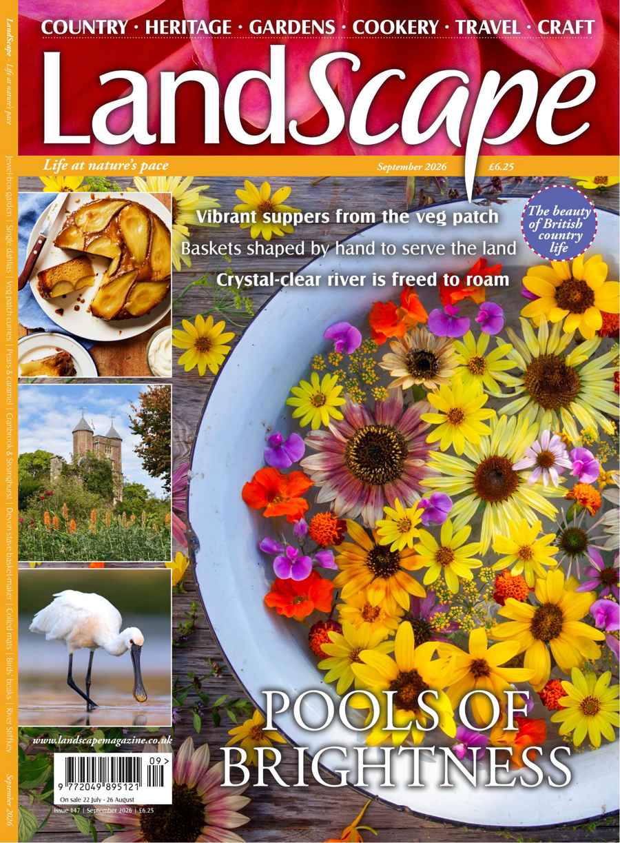 LandScape issue Sep-26