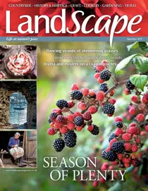 September 2018 
                issue September 2018