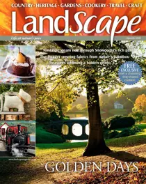 September 2020 
                issue September 2020