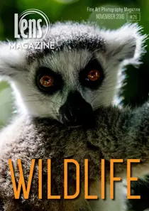 Issue #26 Wildlife Photography 
                issue Issue #26 Wildlife Photography