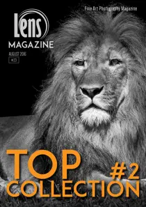 Issue#23- TOP COLLECTION #2  
                issue Issue#23- TOP COLLECTION #2 