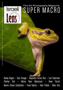 Lens Magazine Issue#13 Super Macro Photography 
                issue Lens Magazine Issue#13 Super Macro Photography