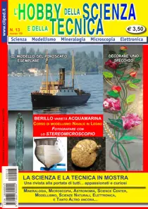 N. 13 Marzo 2009 
                issue N. 13 Marzo 2009