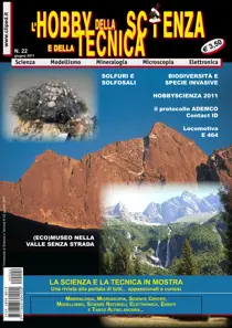 N. 22 Giugno 2011 
                issue N. 22 Giugno 2011