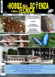 N. 25 Marzo 2012 
                issue N. 25 Marzo 2012