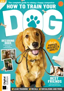 How To Train Your Dog Fourth Edition 
                issue How To Train Your Dog Fourth Edition