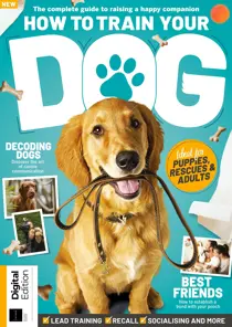How to Train Your Dog Second Editio 
                issue How to Train Your Dog Second Editio
