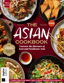 Ultimate Asian Recipe Guide First Edition 
                issue Ultimate Asian Recipe Guide First Edition