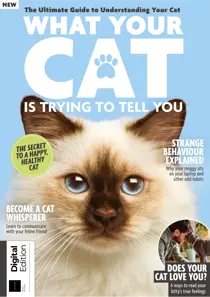 Lifestyle Bookazine 
                issue What Your Cat Is Trying To Tell You Fifth Edition