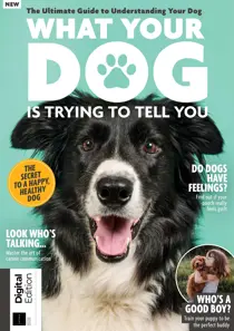 What Your Dog is Trying to Tell You 2nd Edition 
                issue What Your Dog is Trying to Tell You 2nd Edition