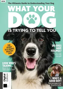 Lifestyle Bookazine 
                issue Lifestyle Bookazine