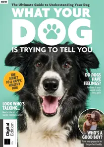 What Your Dog Is Trying To Tell You Fifth Edition 
                issue What Your Dog Is Trying To Tell You Fifth Edition