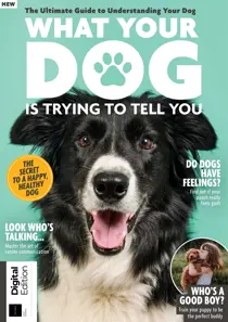 What Your Dog Is Trying To Tell You First Edition 
                issue What Your Dog Is Trying To Tell You First Edition