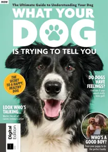 What Your Dog Is Trying To Tell You Fourth Edition 
                issue What Your Dog Is Trying To Tell You Fourth Edition