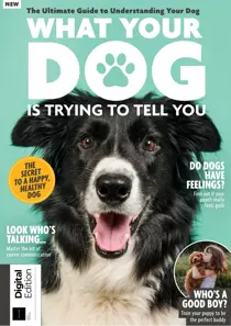 What Your Dog Is Trying To Tell You Sixth Edition 
                issue What Your Dog Is Trying To Tell You Sixth Edition