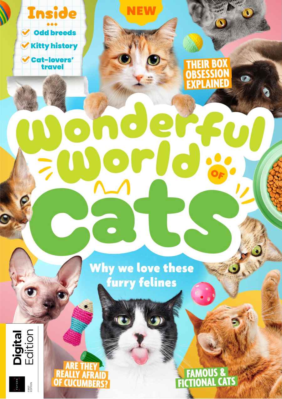 Lifestyle Bookazine issue Wonderful World of Cats First Edition