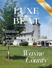 Luxe Beat Magazine  issue Wayne County