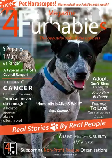 Mag 4 Furbabies Preview