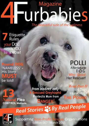 Mag 4 Furbabies Preview