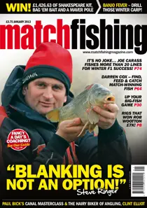 January 2013 
                issue January 2013