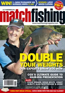 November 2011 
                issue November 2011